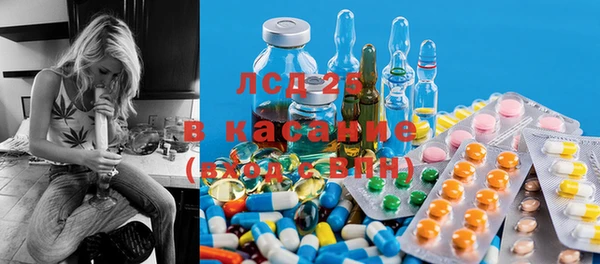 ГАЛЛЮЦИНОГЕННЫЕ ГРИБЫ Александровское